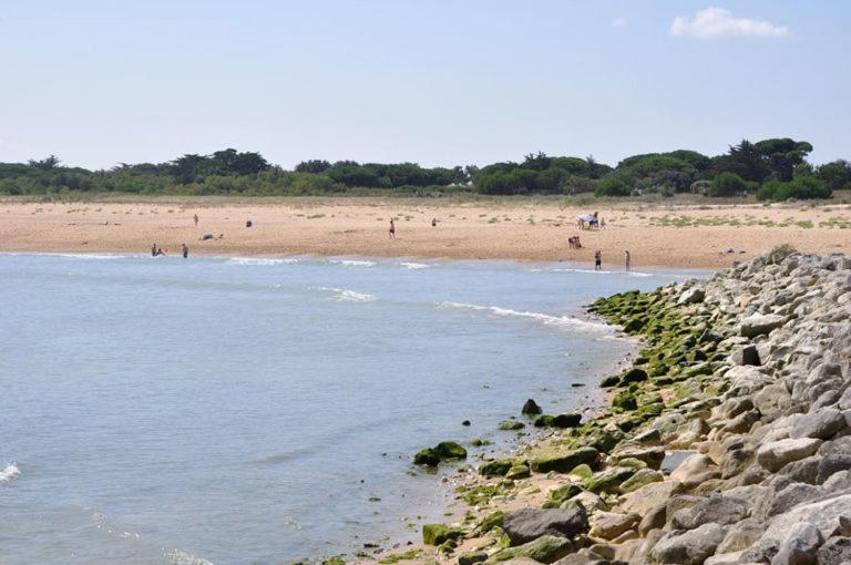 A 80M De La Plage De Plaisance Pour 8 Personnes Saint-Georges-d’Oléron Kültér fotó